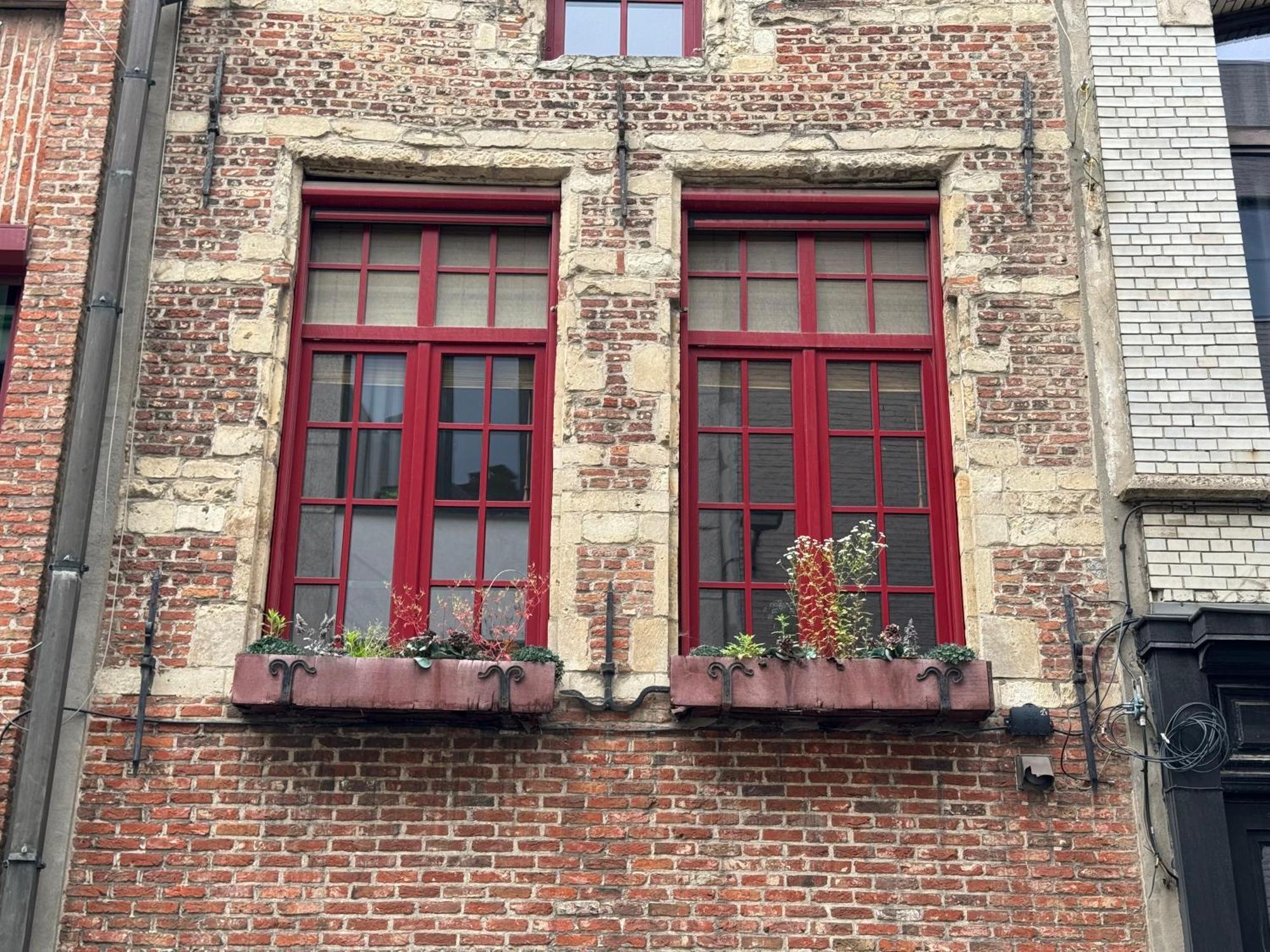 Garden Loft In City Center Meir 1Fl Antwerpen Ngoại thất bức ảnh